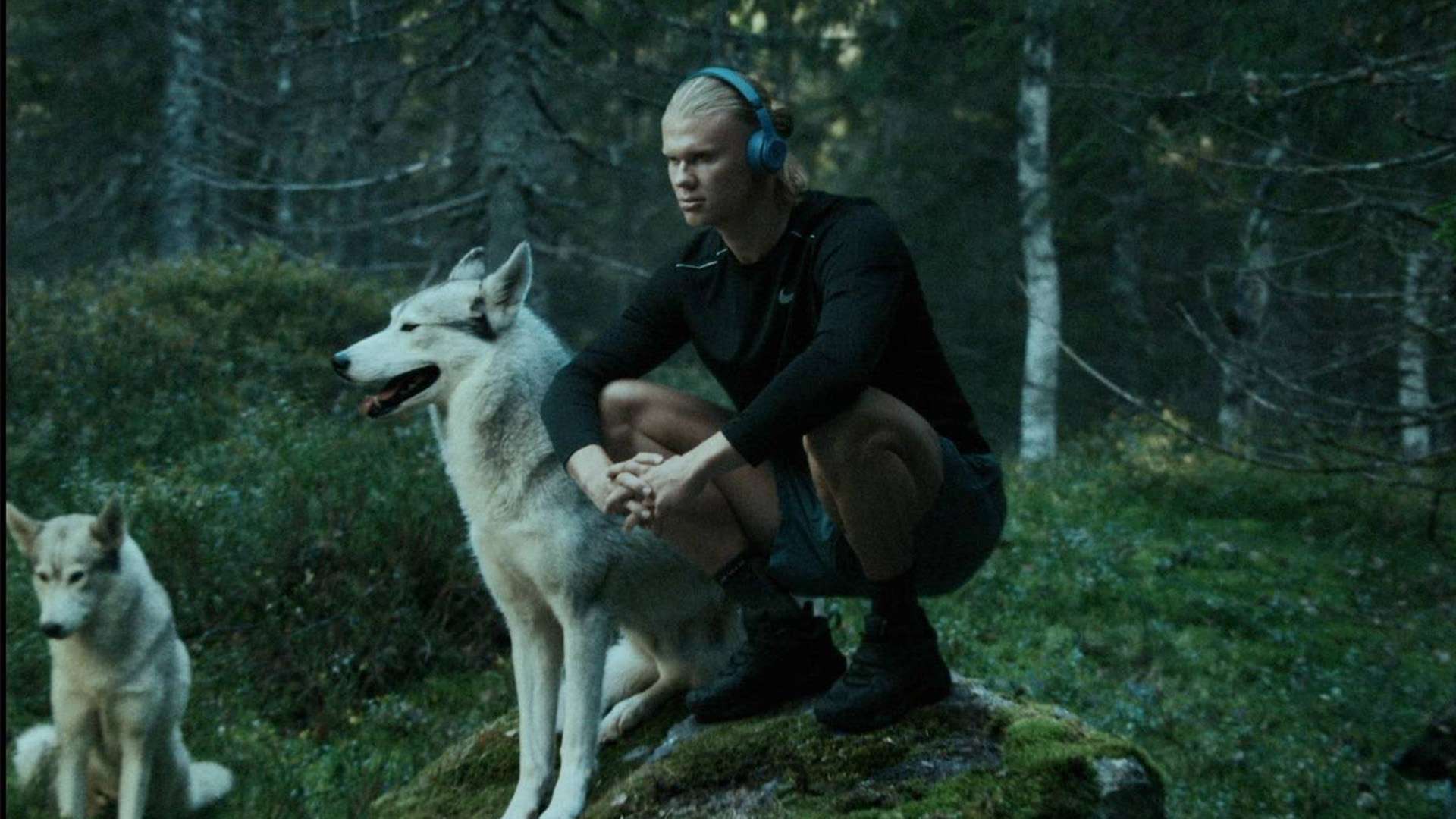 的進球帶來 的進球帶來